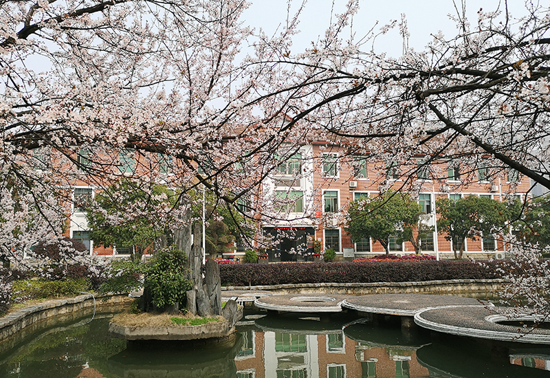 《紅網(wǎng)時刻》華菱衡鋼榮登2020年中國鋼鐵行業(yè)品牌榜