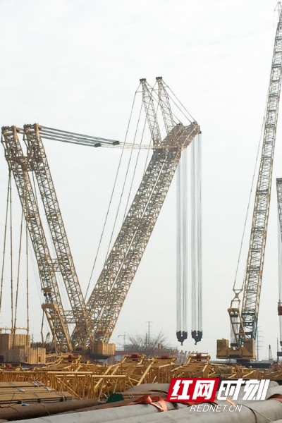 1610959752147055.jpg 276f5c01-197e-4074-8218-462bffced7f1.jpg