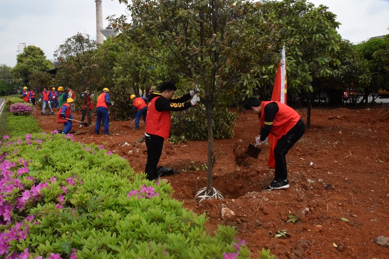 1618189205548747.jpg 1(12).jpg